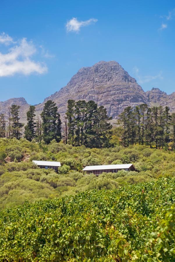 Bush Lodge At Hidden Valley Wines Stellenbosch Exterior foto